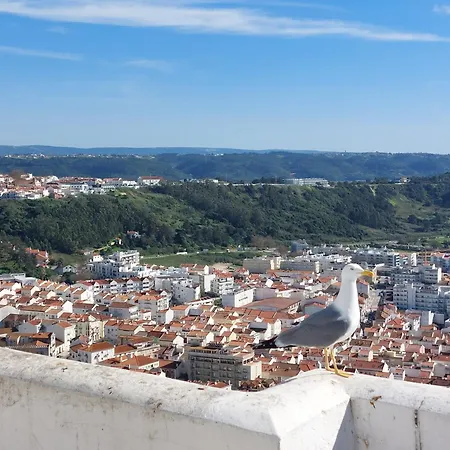 Maison Proche Fatima Batalha *