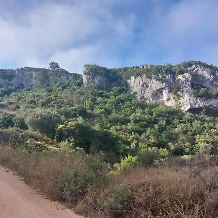 Maison Proche Fatima Batalha Σπίτι διακοπών