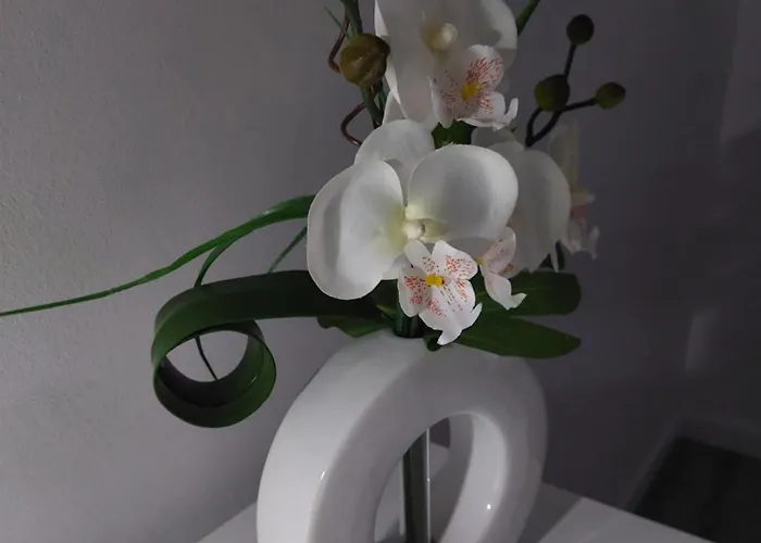 Maison Proche Fatima Batalha 別荘 Reguengo do Fetal