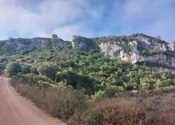 Maison Proche Fatima Batalha Сasa de vacaciones
